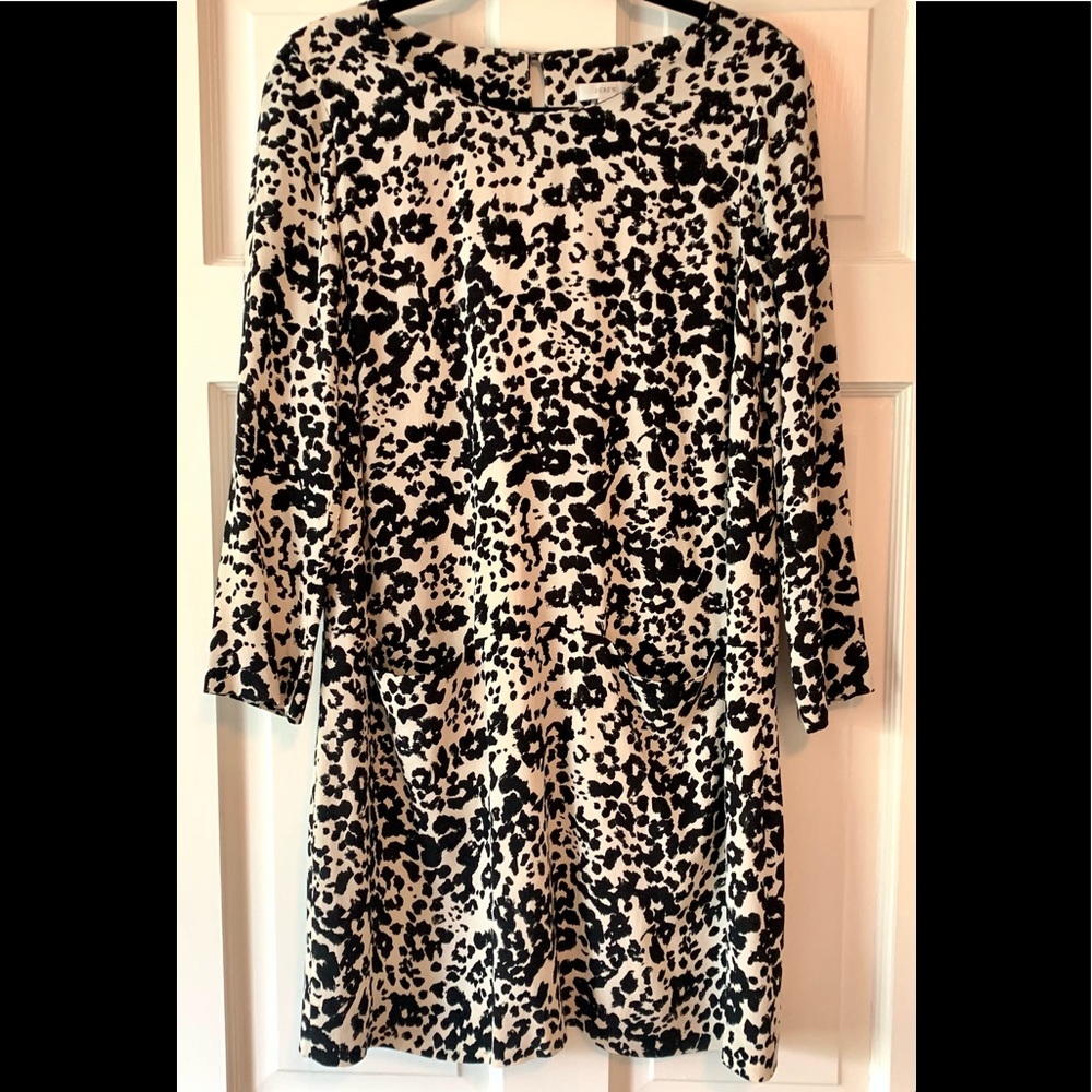 J. Crew Dress